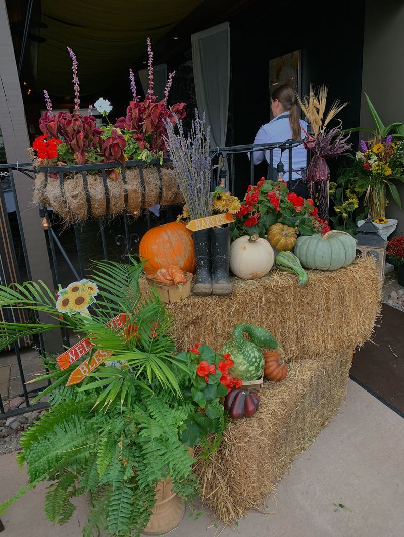 Farm-to-Table Dining Station