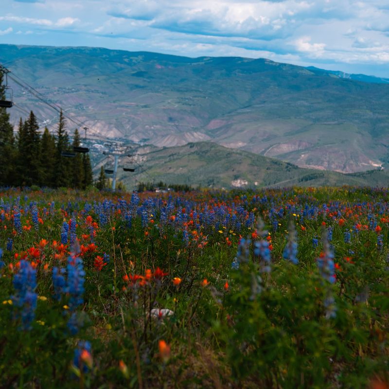 Shrine Ridge Trail