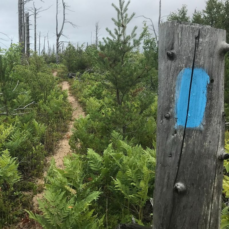 North Country Trail - Hiawatha Section
