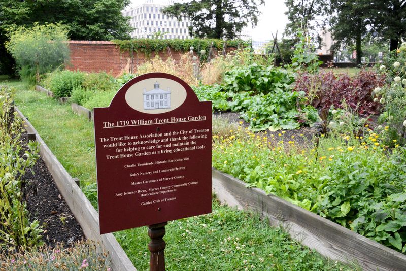 Uncovering Buried History Through Soil And Seeds