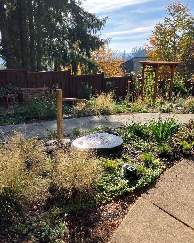 Asian Zen Elements Create Drought-Resistant Sanctuaries