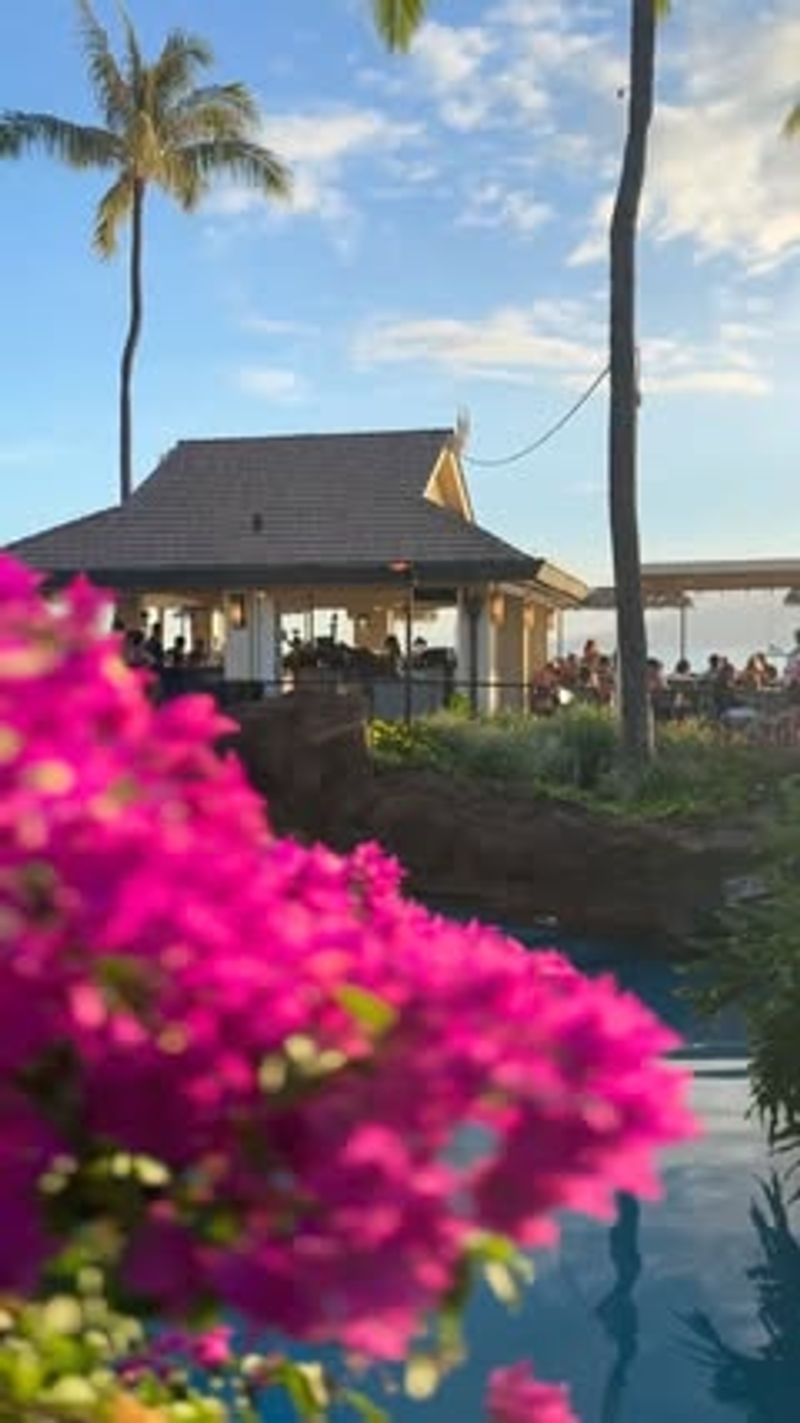 Makahiki Harvest Celebrations