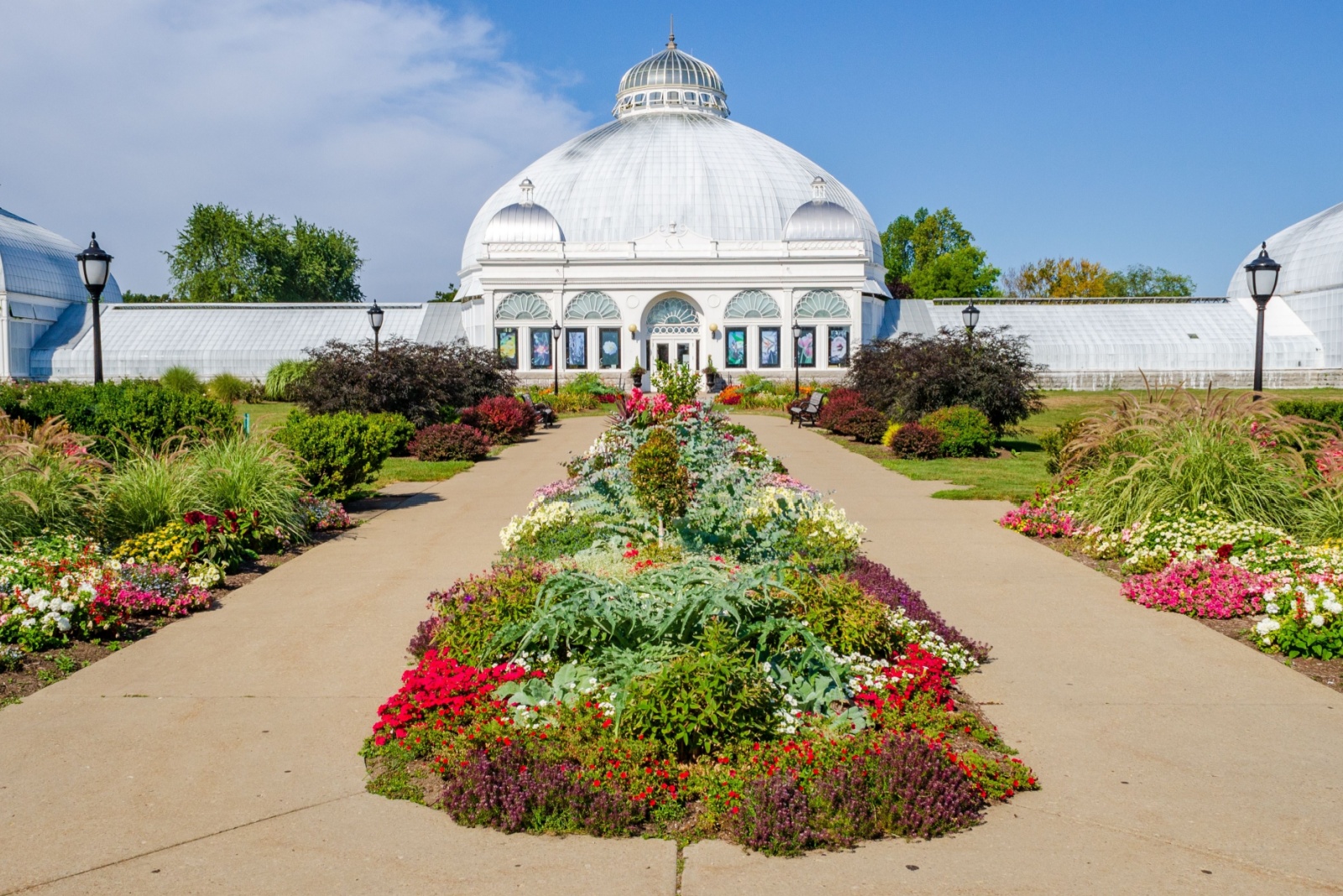 How The Torrey Botanical Club Sparked The New York Botanical Garden