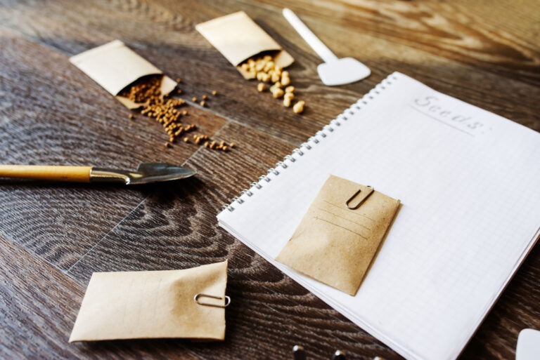 spring garden preparation for sowing vegetable seeds and planning (featured image)