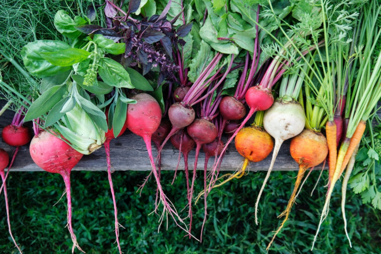 vegetables (featured image)