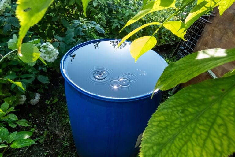 rain barrel