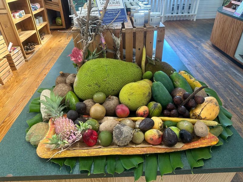 Edible Landscapes With Extended Harvests