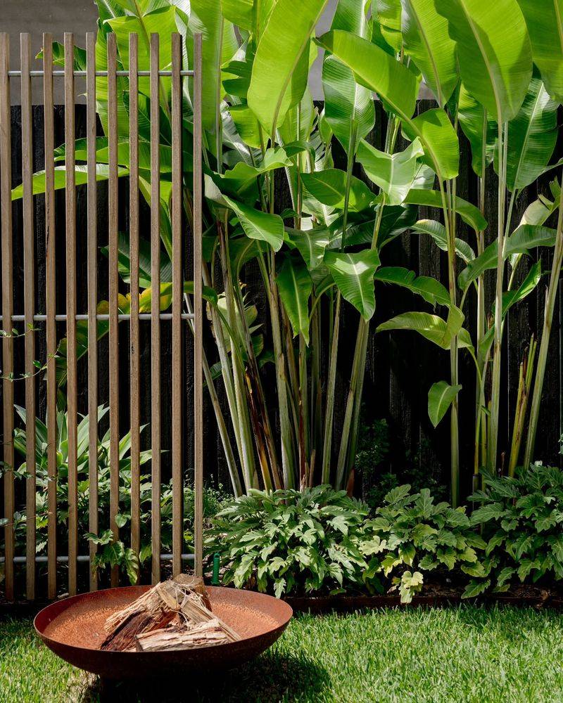 Woven Palm Frond Screens