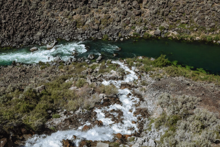 nature (featured image)