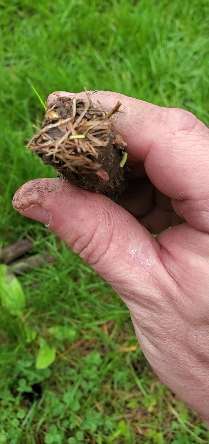 Forgetting Aeration