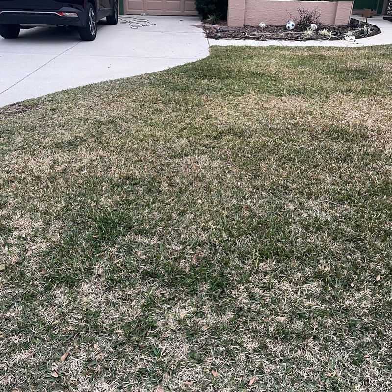 Over-fertilizing In Heat