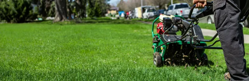 Skipping Core Aeration