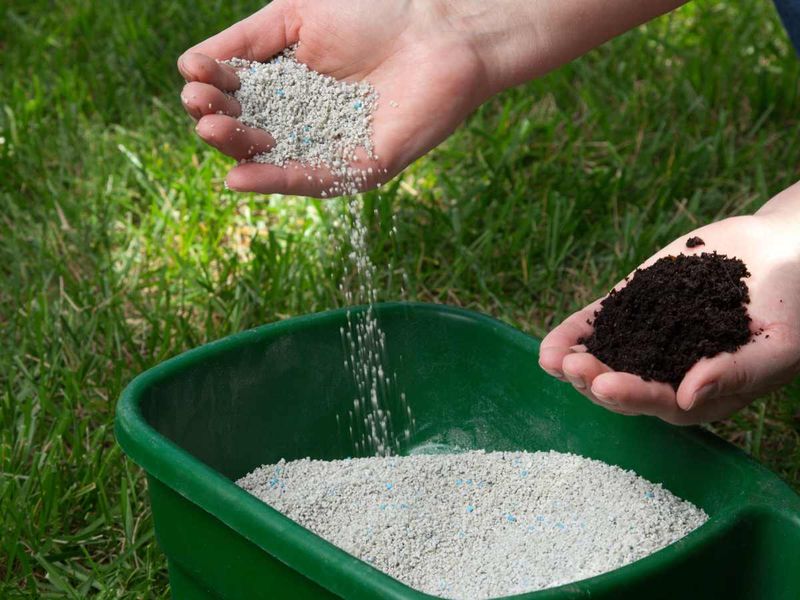 Using High-Nitrogen Fertilizer Late Season