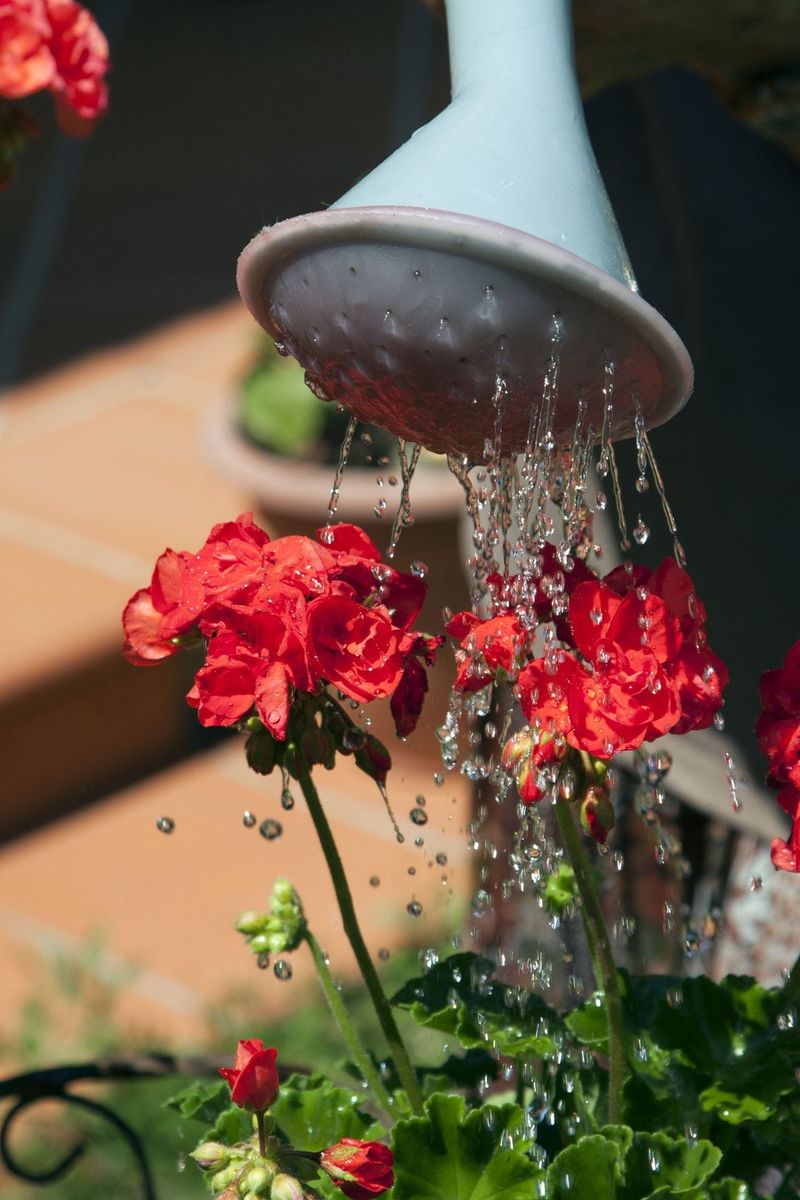 Letting Containers Dry Out Completely