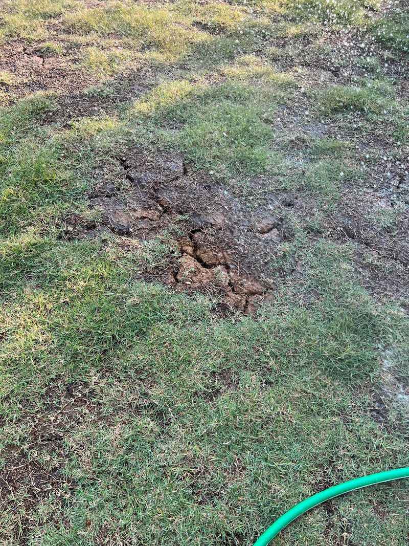 Neglecting Soil Compaction