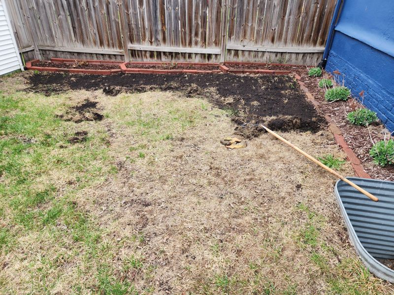 Neglecting Pest Control