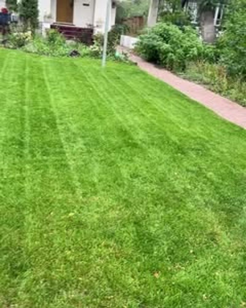 Inconsistent Watering Schedule