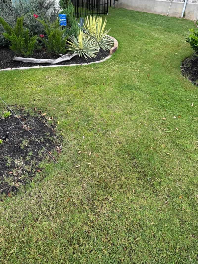 Over-Applying Herbicides