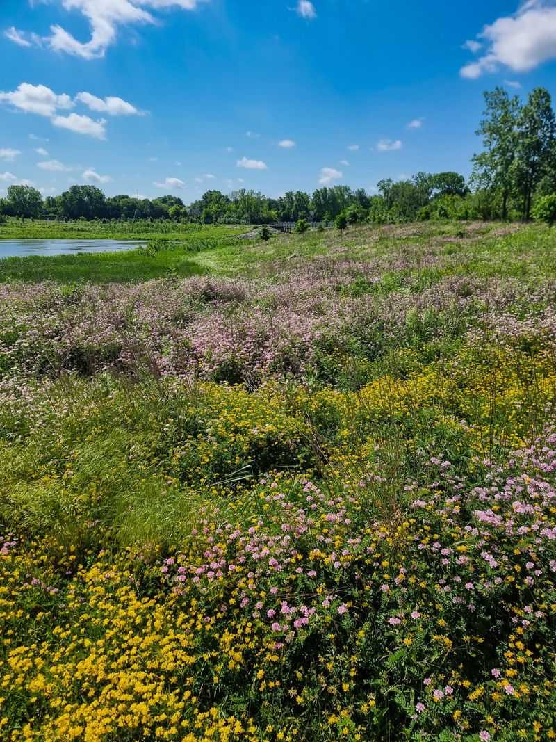 Forest Glen Preserve