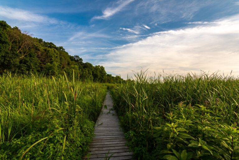 Dixon Springs lllinois