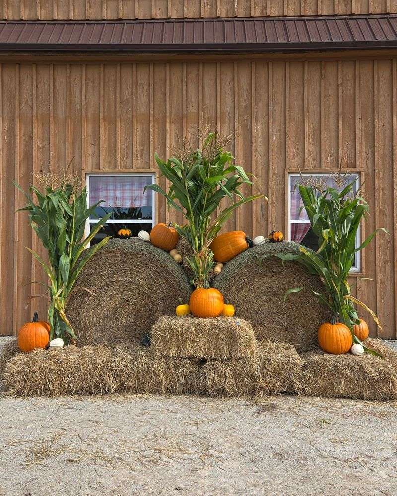 Vintage Farm Equipment Scene