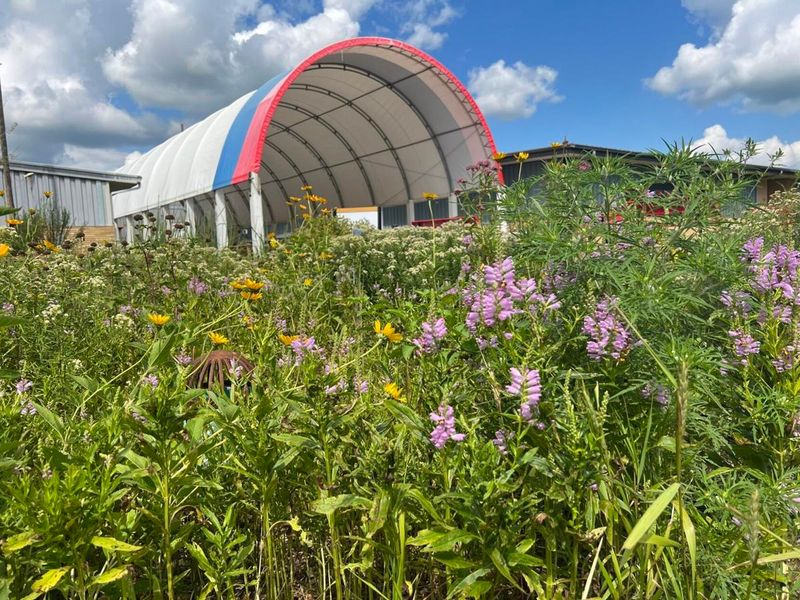 Native Plant Exhibits Restore Prairie Connections