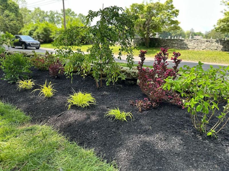 Mulch Strategically