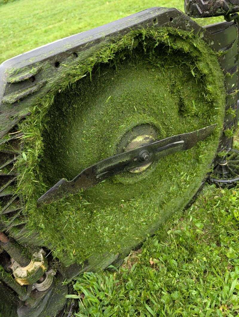Using Dull Mower Blades