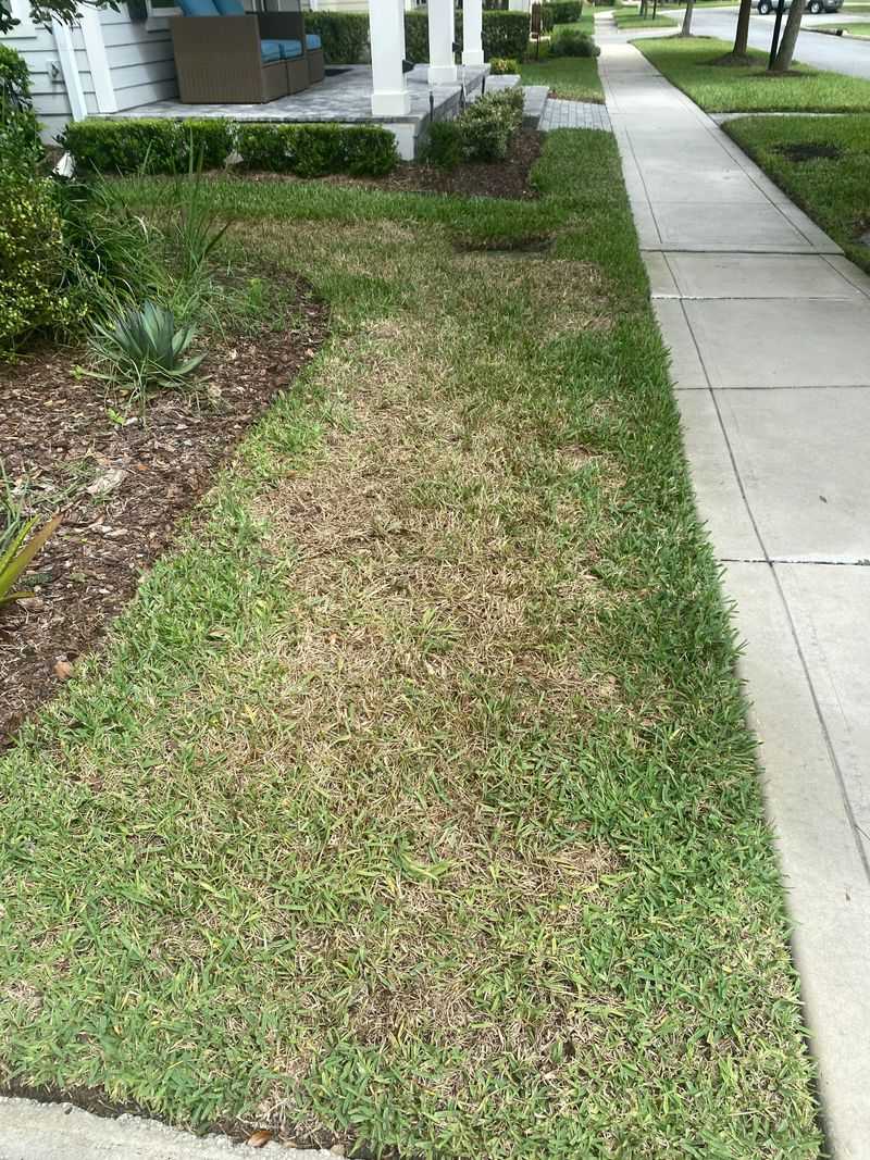 Overusing Weed Killers