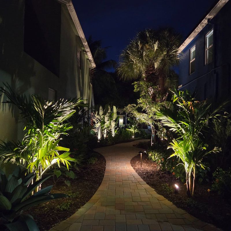 String Up Outdoor Lighting For Evening Ambiance