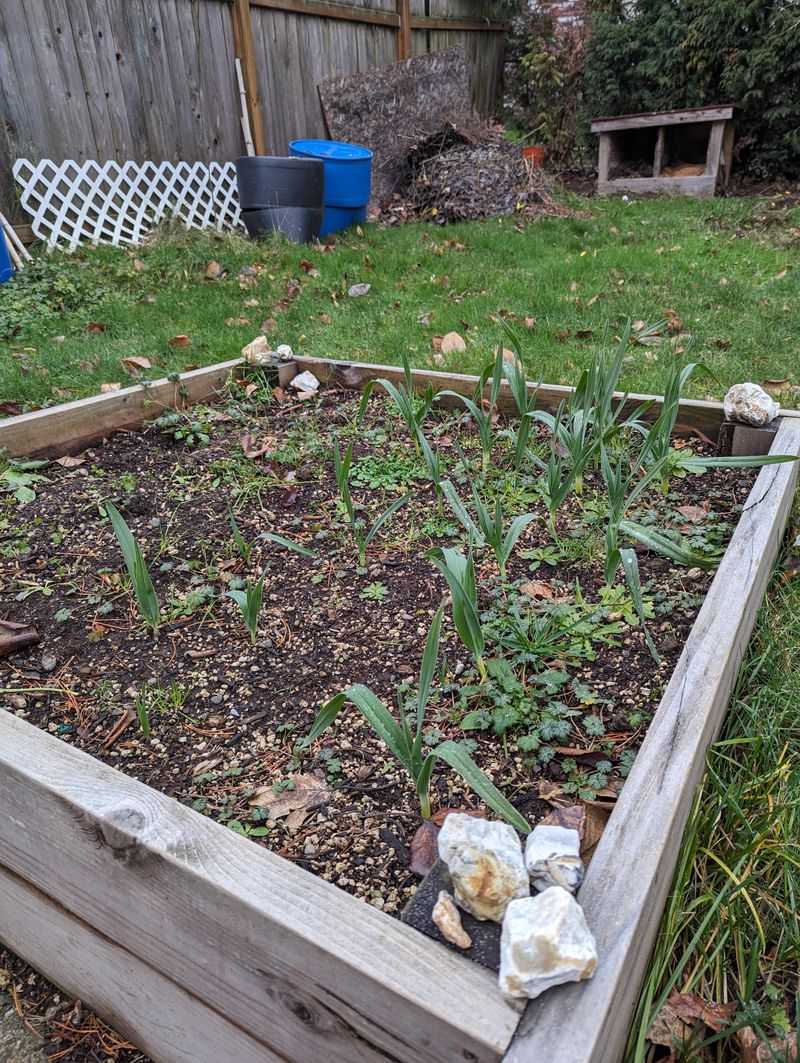 Unpredictable Spring Temperature Swings