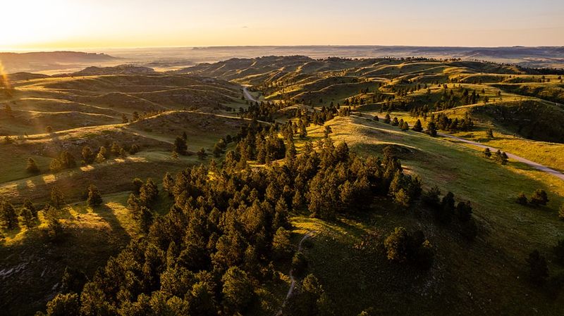 Wildcat Hills
