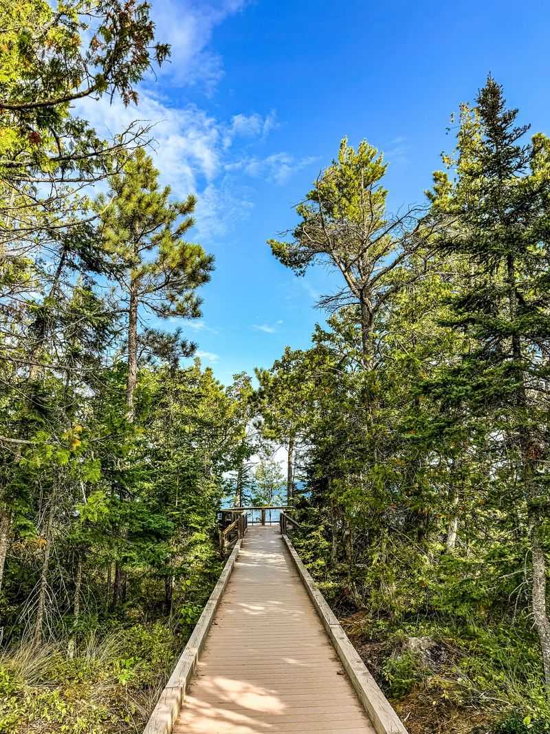Turkey Run's Ladders Trail