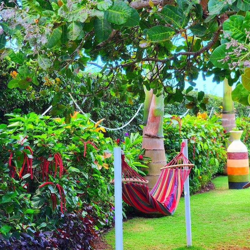 Hang Colorful Hammocks Between Palm Trees