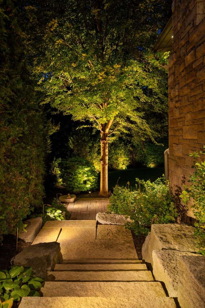 Choose Warm-Colored Bulbs Under 3000K To Reduce Insect Attraction