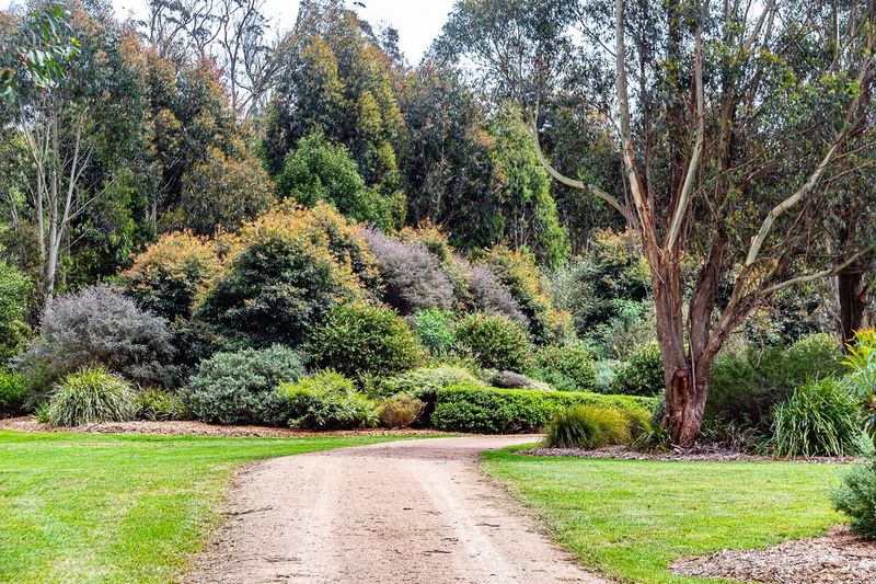Create Wind Breaks With Native Shrubs