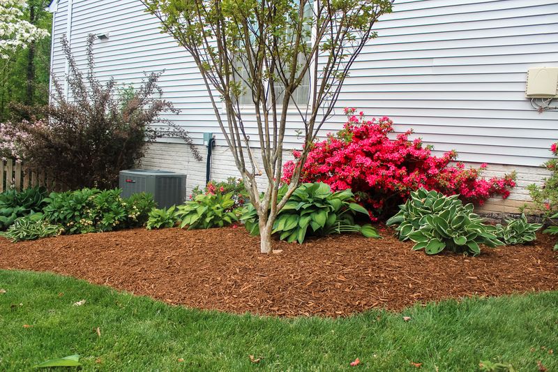 Refresh Mulch Beds
