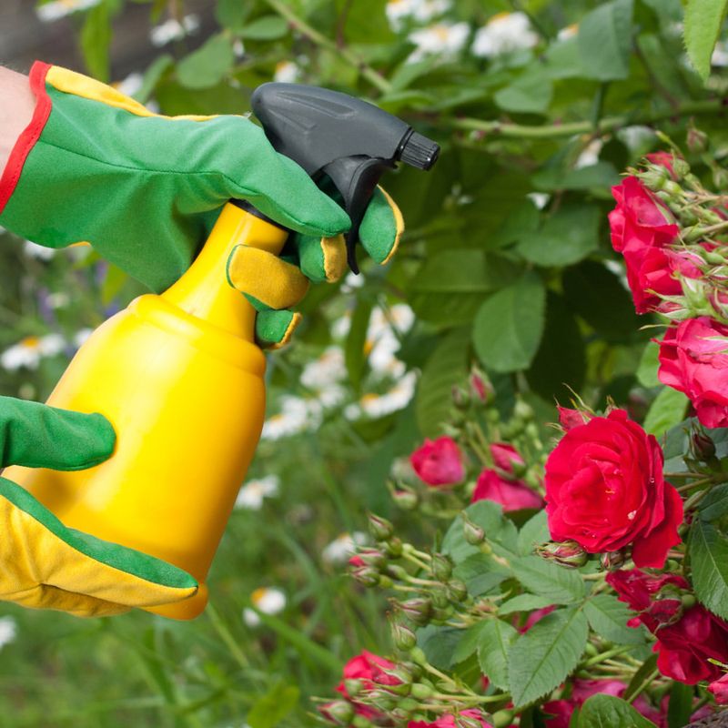 Chemical-Dependent Pest Control