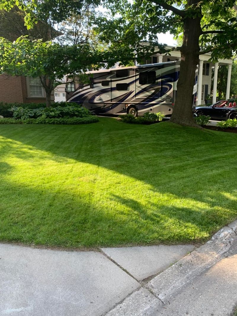 Excessive Lawn Chemical Treatments