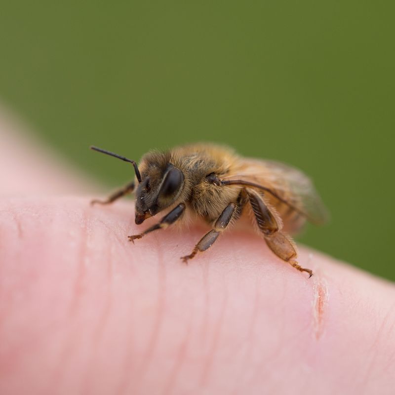 Disease Spread