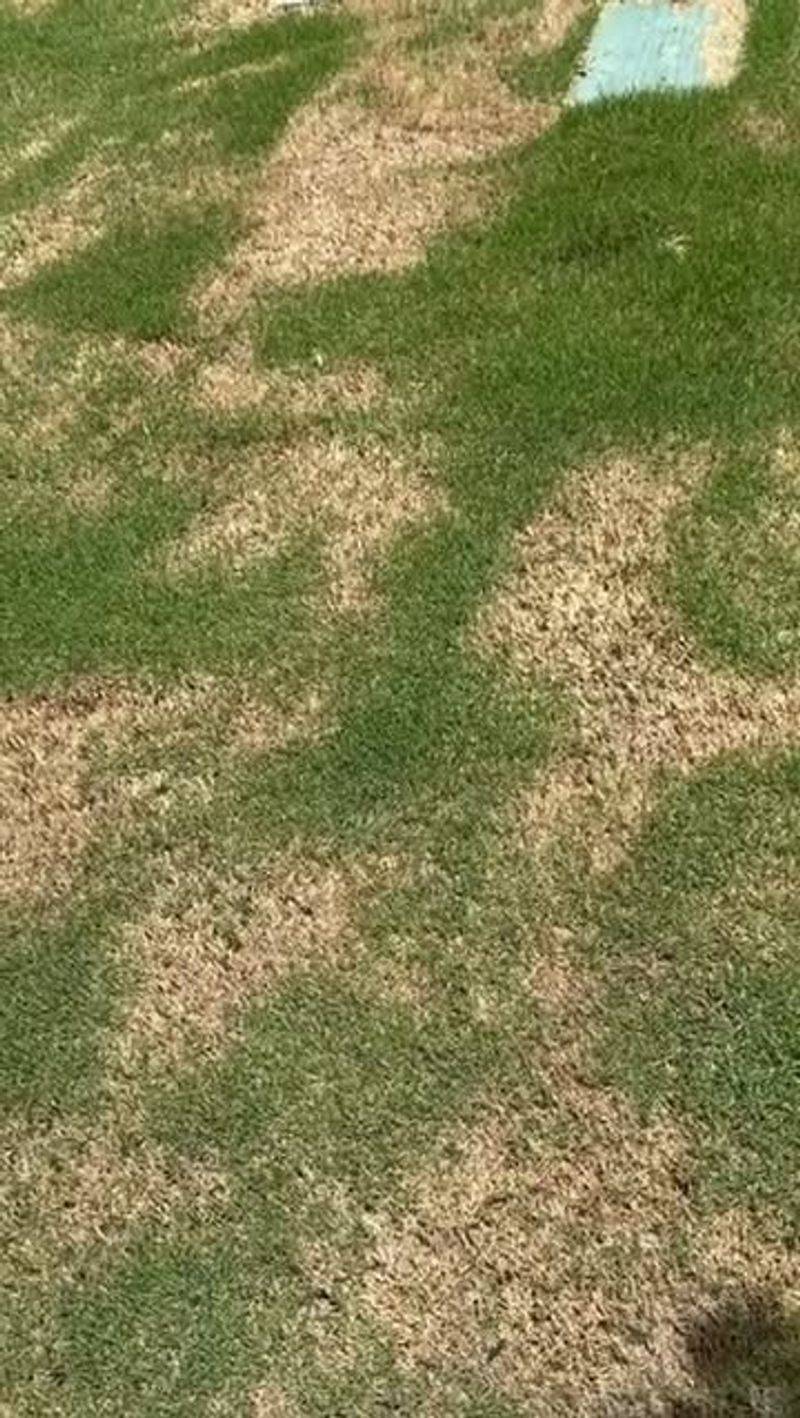 Mower Damage