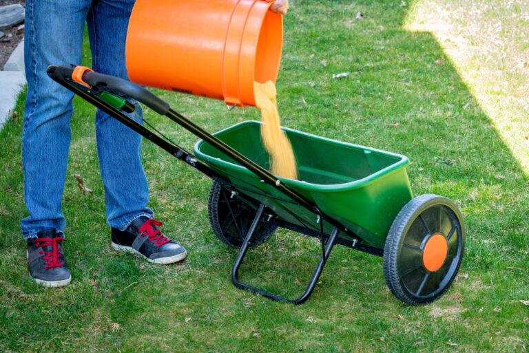 gardener pours fertilizer into a spreader