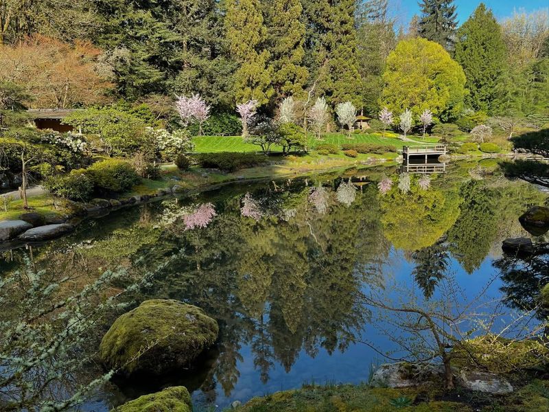 Seattle Japanese Garden: Urban Oasis Of Tranquility