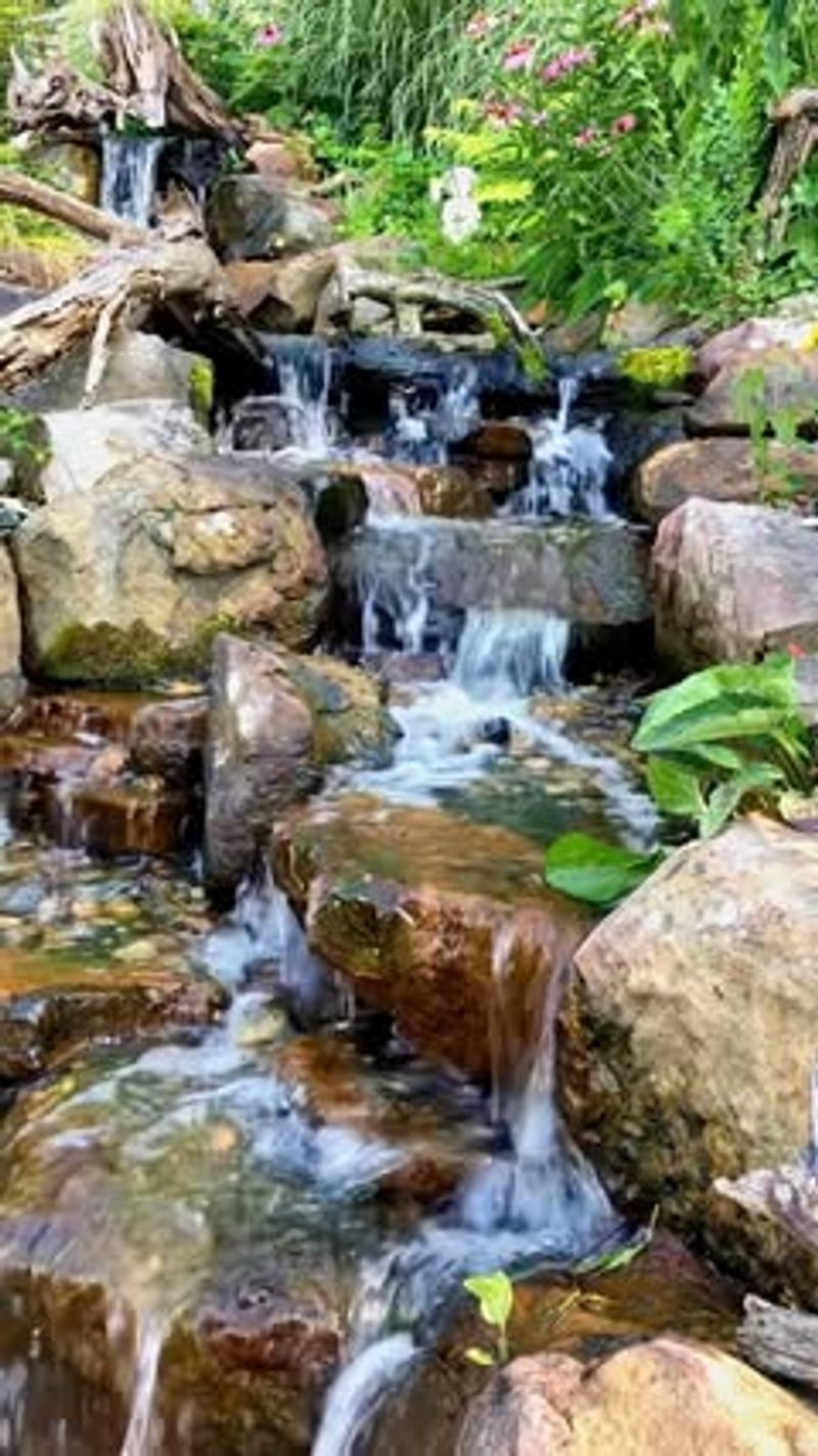 Hillside Stream Cascade