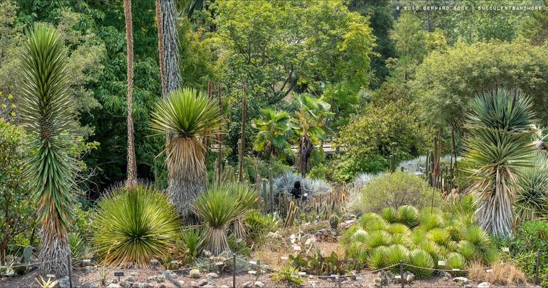 Sustainable Beauty At UC Botanical Garden
