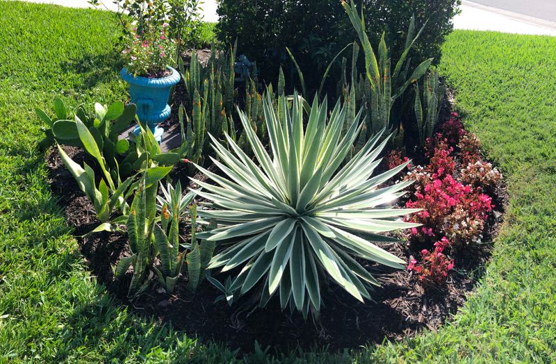Time Planting Strategically