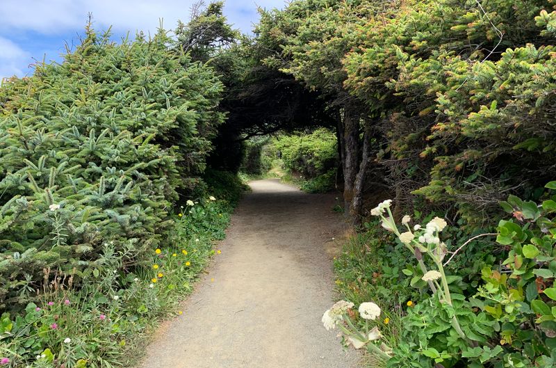 Yachats: Coastal Gardens Protected From Ocean Winds