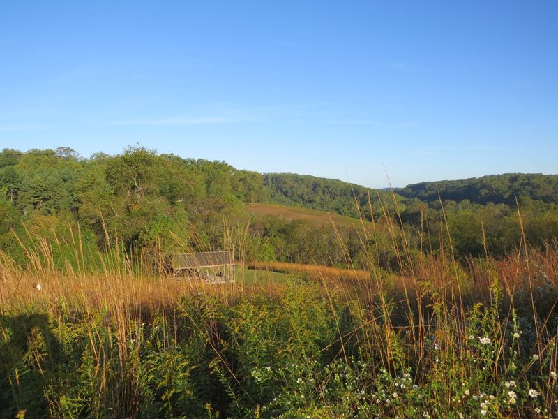 Ashland Nature Center's Hidden Ravines