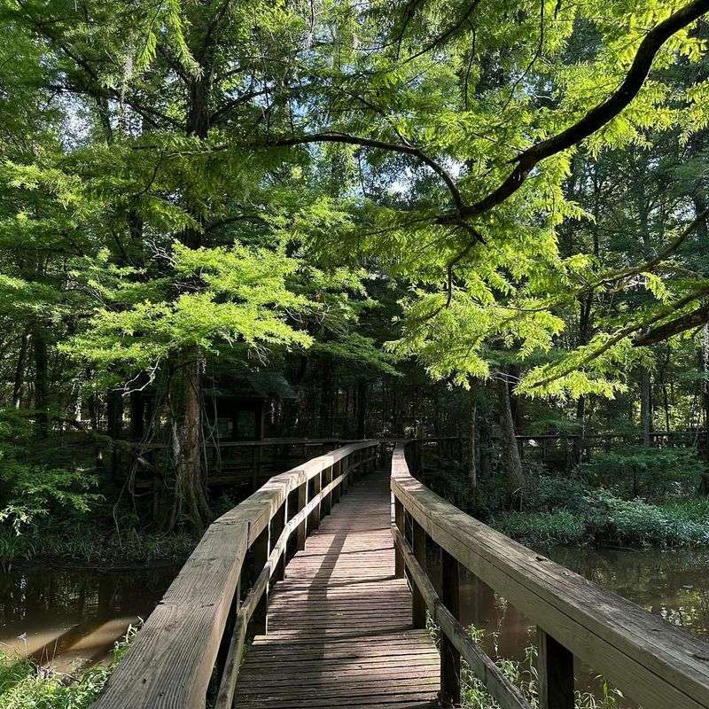 Northlake Nature Center Trails