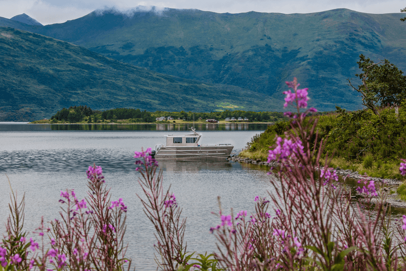 Kodiak's Japanese-Inspired Wilderness